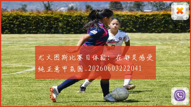 尤文图斯比赛日体验：在都灵感受纯正意甲氛围_20260603222041